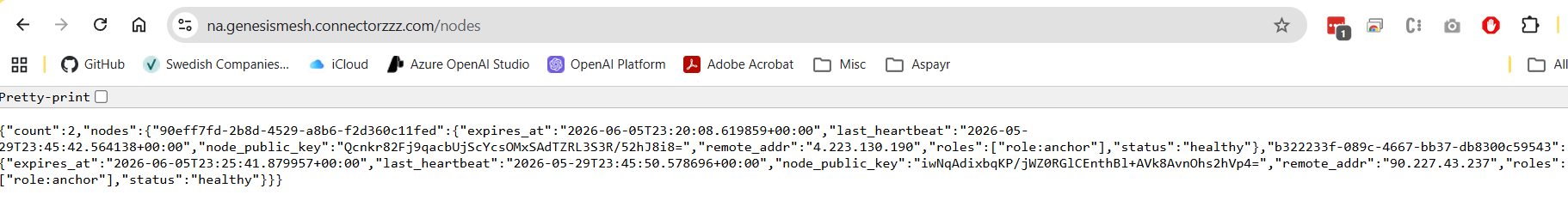 /nodes endpoint returning the operator-authenticated node roster